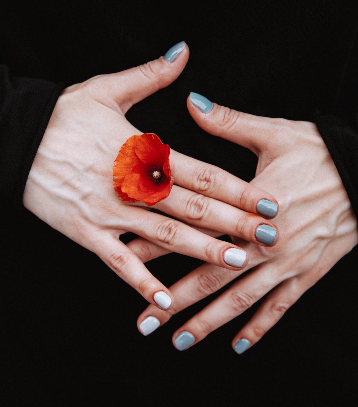 person holding red petaled flower between his finger