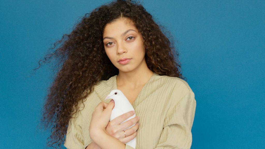 flight dawn nature fashion