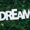 dream text on green leaves