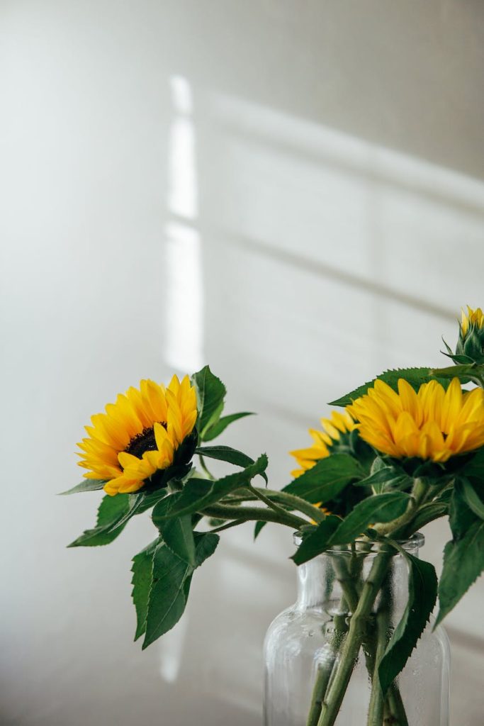fresh flowers in glass jar at sunlight